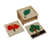 BOTANY PUZZLE WITH CABINET